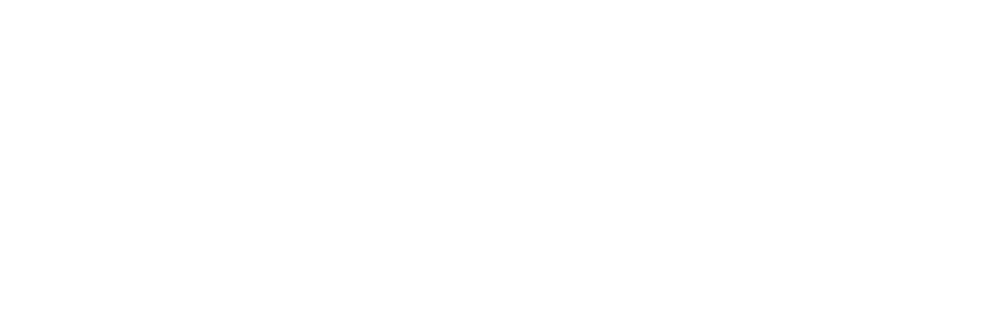 Gladius Solutions